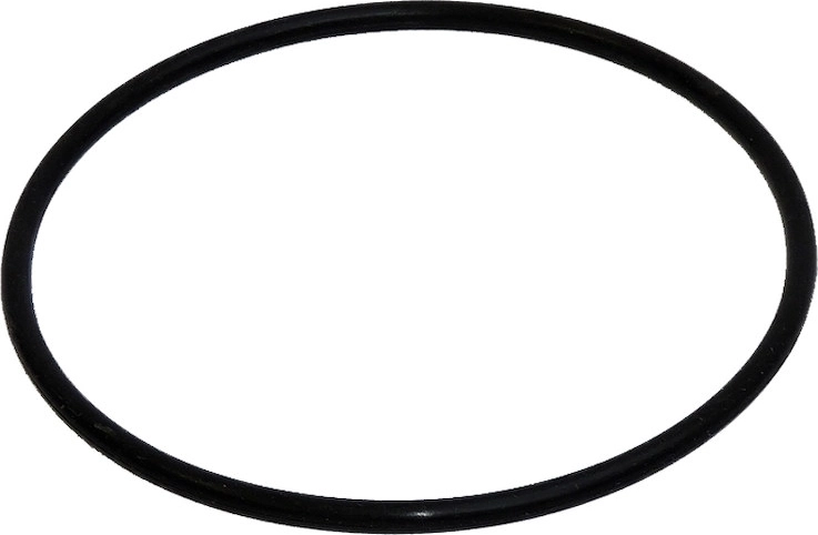 O-ring uszczelniający zbiornika filtra Prostar 2