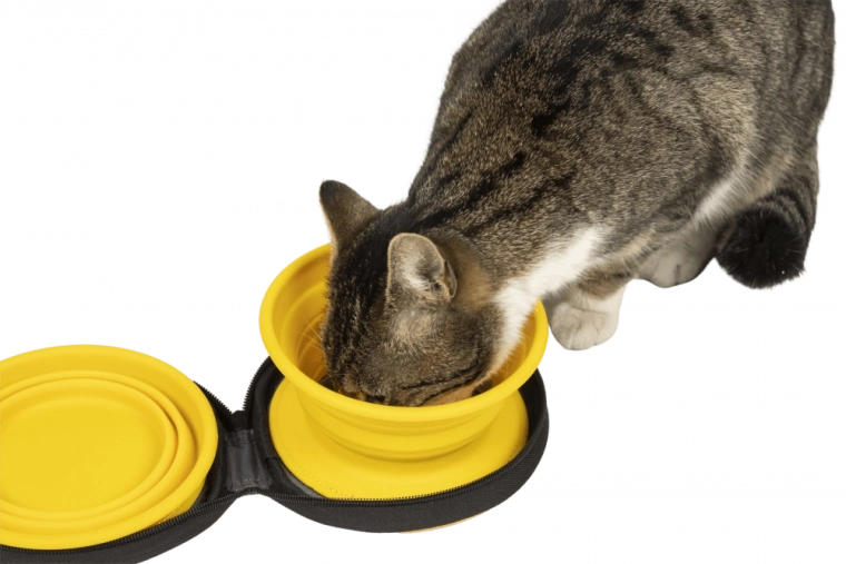 Praktyczne etui na zamek