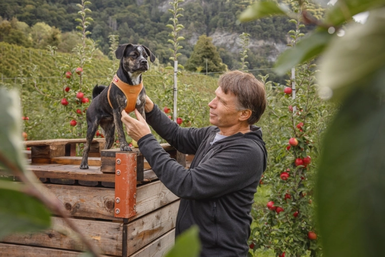 Łatwe zapinanie jedną ręką