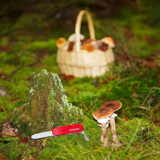 Licencjonowany design VICTORINOX