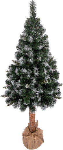 Sosna Baltica Diamentowa sztuczna choinka na pniu 220 cm