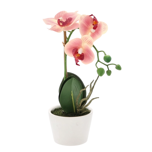 Kompaktowa dekoracja do każdej przestrzeni