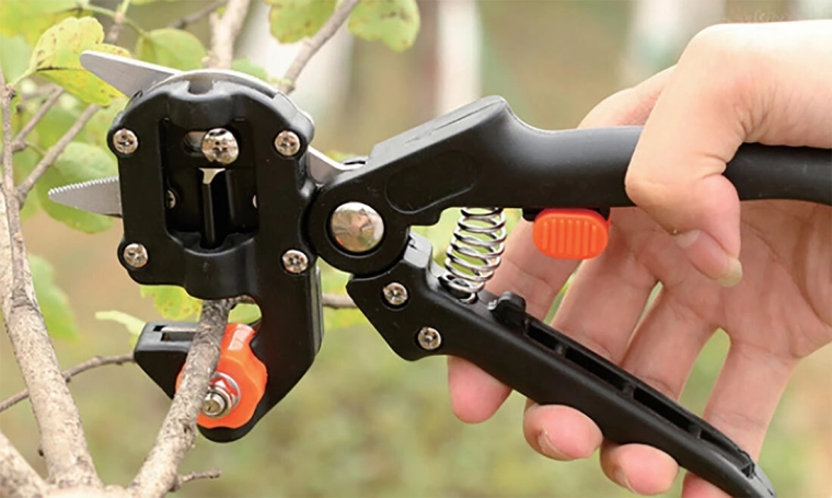 Szczepionkowe nożyce ogrodowe ze stali nierdzewnej 21 cm