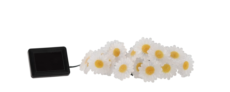 Magiczna kwiatowa atmosfera