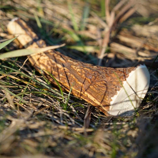 Produkt zrównoważony i naturalny