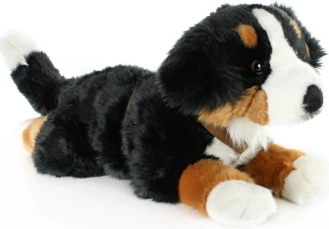Pluszowy berneński pies pasterski 65 cm