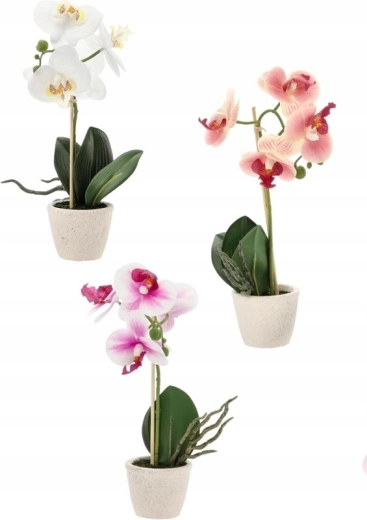 Mix trzech eleganckich kolorów