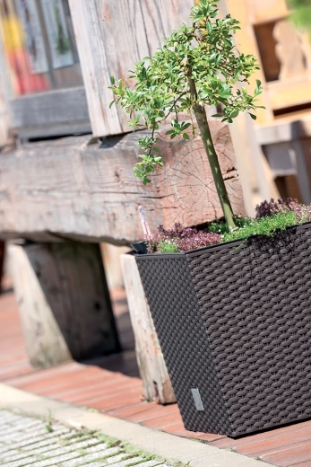 Odporność do wnętrz i na zewnątrz