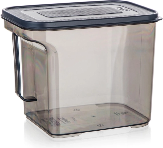 Plastowy pojemnik z uchwytem 2,75 l Zoya