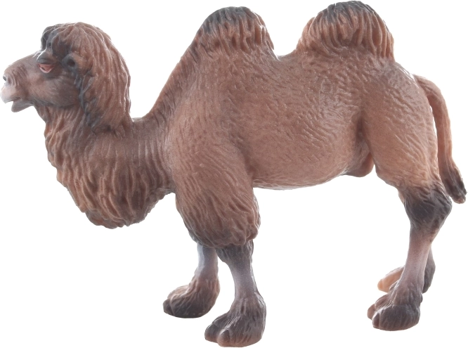 Kompaktowe wymiary dla łatwego użytkowania