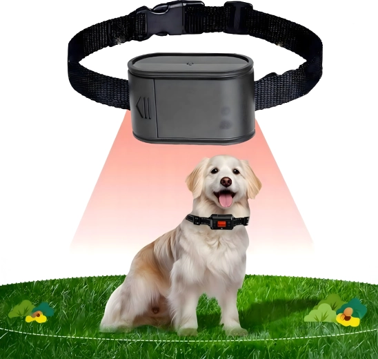 Wygodna i lekka obroża do codziennego noszenia