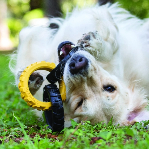 Interaktywna zabawa w domu i na zewnątrz