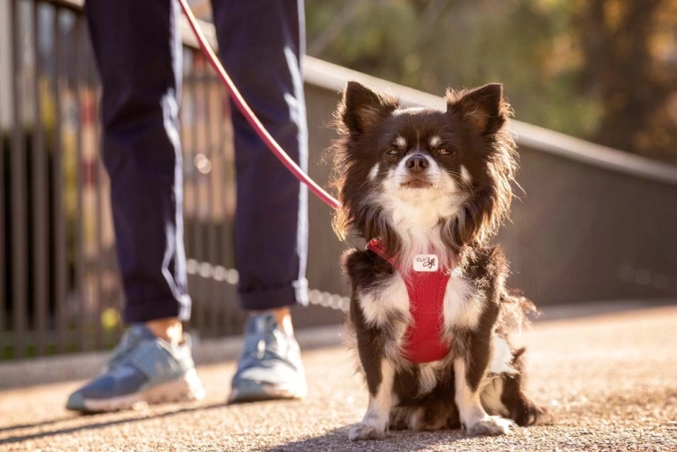 Oddychający Air-Mesh z efektem chłodzenia