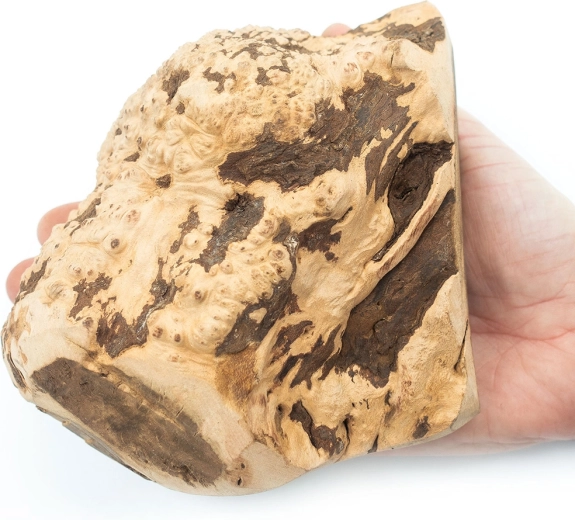 Unikatowy egzemplarz z odnawialnych źródeł