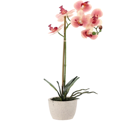 Bez konserwacji przez cały rok