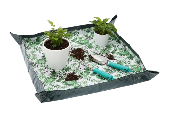 Czyste przesadzanie bez bałaganu