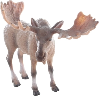 Realistyczne wykonanie dla wiernych wrażeń