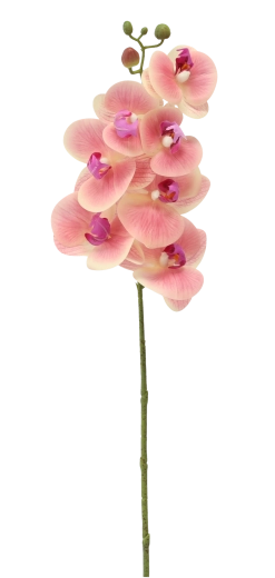 Bez konserwacji i zawsze świeży wygląd