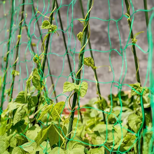 Pionowe podparcie dla obfitych plonów