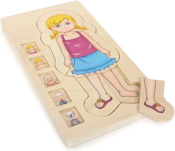 Small foot drewniane warstwowe puzzle anatomii