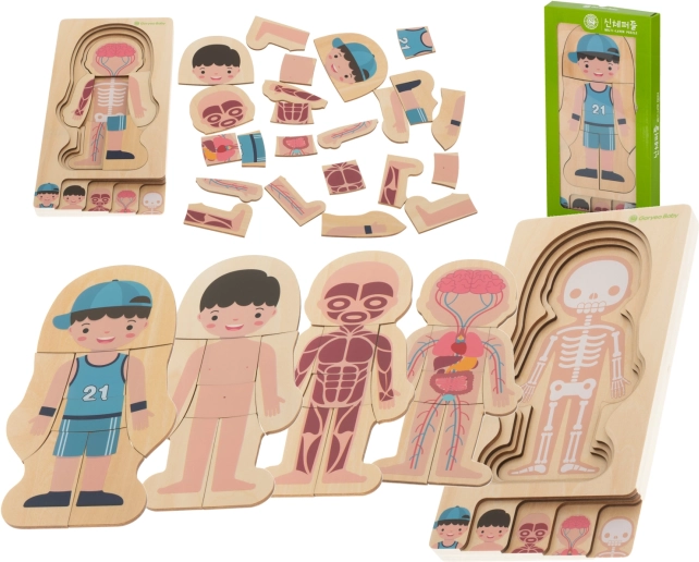 Drewniane warstwowe puzzle ludzkie ciało Montessori