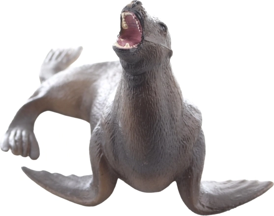 Świetna do nauki o zwierzętach morskich