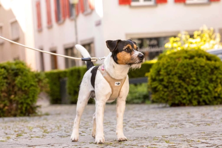 Bezpieczeństwo na każdym kroku