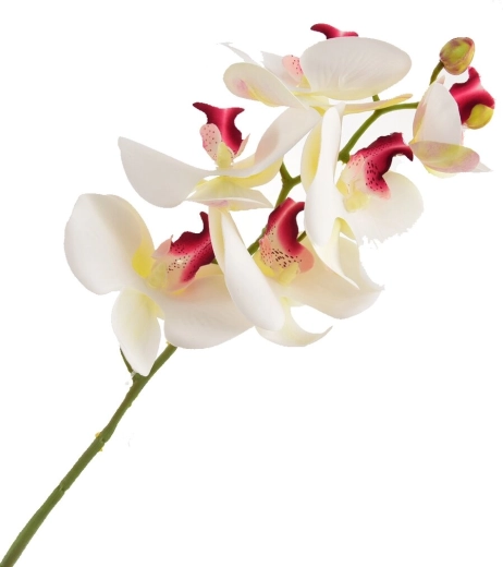 Sztuczna orchidea biała 72 cm