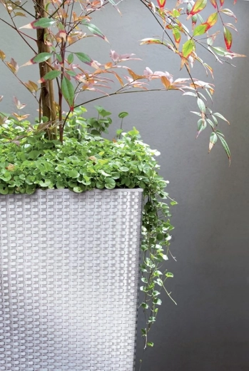 Wewnętrzny wkład dla łatwego sadzenia i pielęgnacji