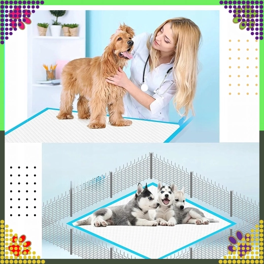 Czystość podczas treningu i pielęgnacji