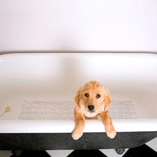 Komfort i ochrona stóp