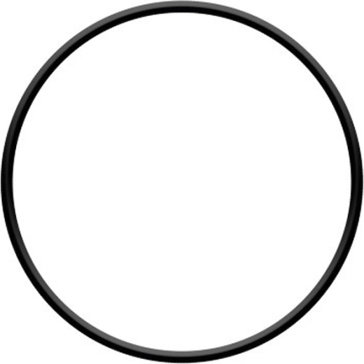 O-ring głowicy filtra ProStar 4 i ProStar 6