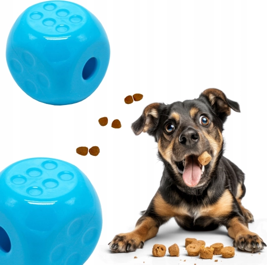 Zabawa i trening w jednym