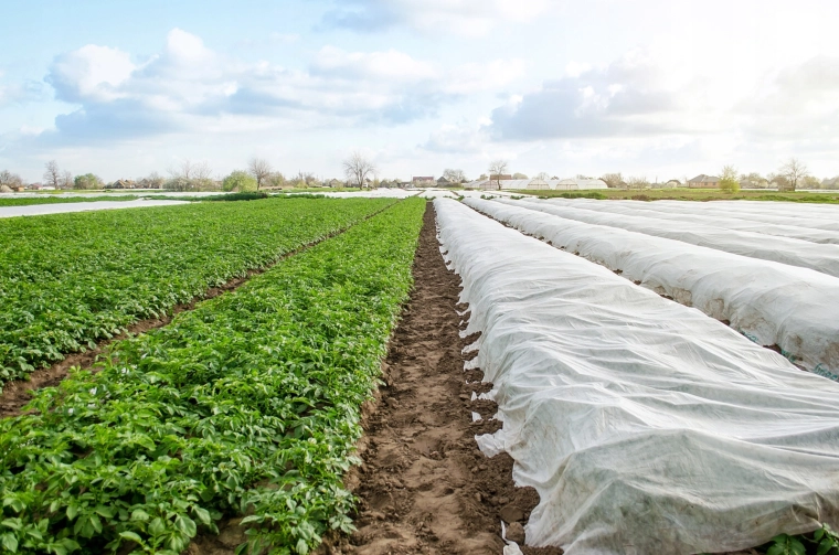 Niezawodna ochrona przed wiosennymi przymrozkami