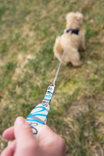 Wytrzymały karabińczyk nierdzewny