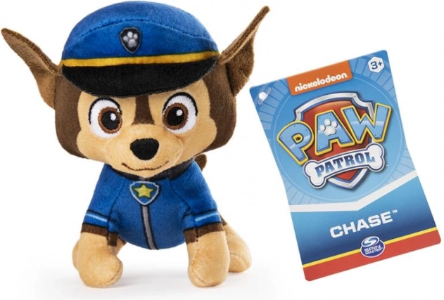 Autentyczny mundurek z odznaką