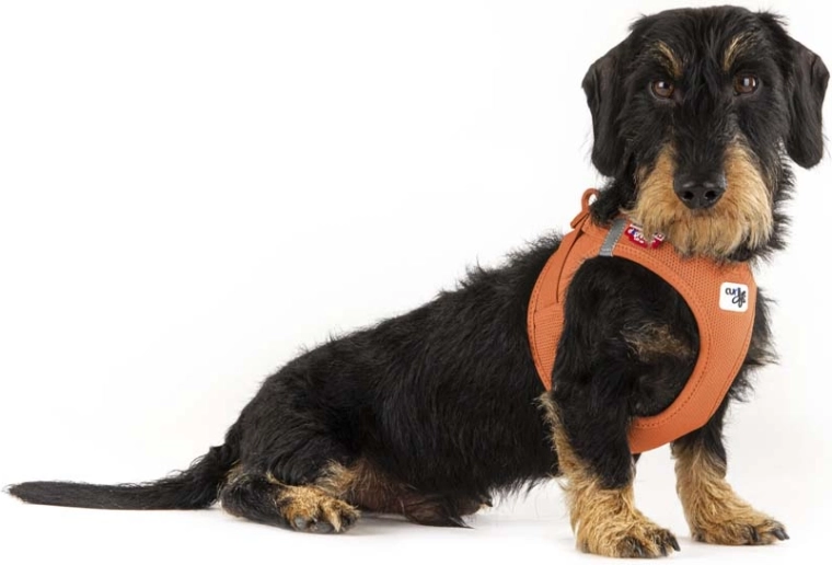 Ergonomia bez nacisku na szyję