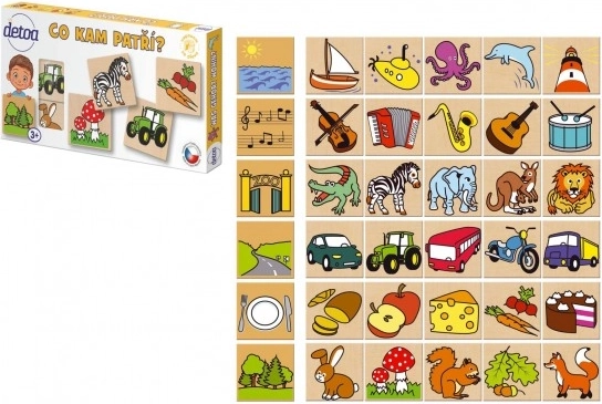 Detoa drewniane puzzle Co pasuje gdzie