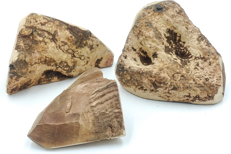 Idealny dla wielu psich potrzeb