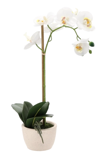 Stabilna i elegancka doniczka