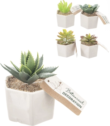 Dekoracyjna roślina w ceramicznej doniczce 6 × 6 × 10 cm (5 wariantów)
