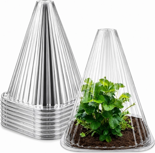 Ochronny klosz na rośliny 22 cm – zestaw 10 szt.