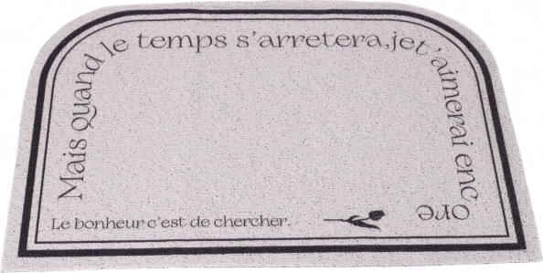 Dywanik, wycieraczka, antypoślizgowa wycieraczka wejściowa 60 x 90 cm typ 2