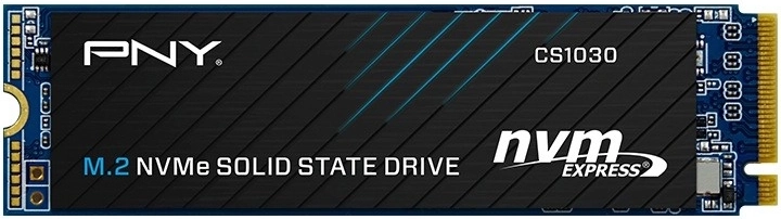 Dysk SSD 256 GB CS1030 M.2 2280 PCIe bulk – 1 szt.