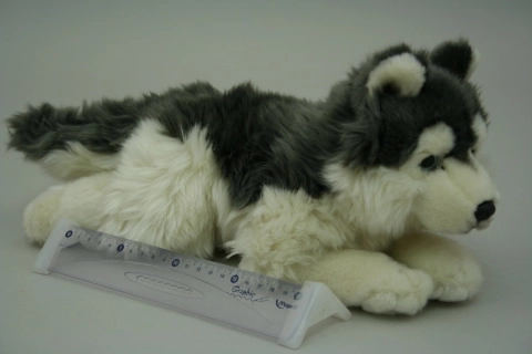 Pluszowy husky 35 cm