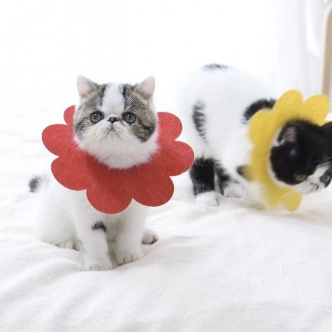 Miękki pooperacyjny ochronny kołnierz dla zwierząt domowych, czerwony – rozmiar L