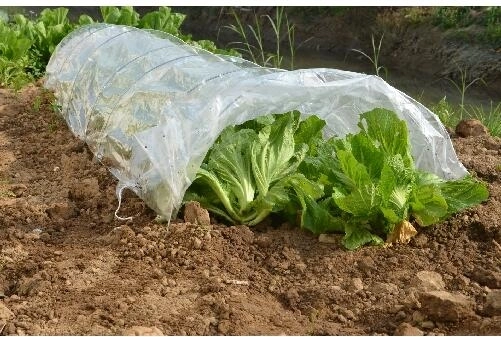 Tunelowy foliak ogrodowy 300 × 65 × 45 cm