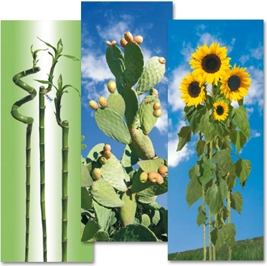 Gimi bawełniany pokrowiec na deskę do prasowania I Love S/M 129 × 48 cm