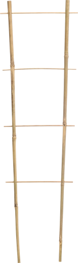 Podwójna bambusowa podpora dla pnących roślin 45 cm
