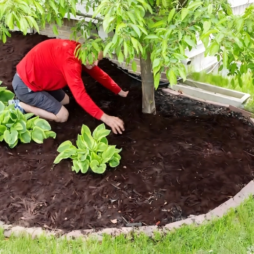 Ogrodowa tkanina przeciw chwastom 70 g/m², 1,1 × 50 m, czarna, stabilizowana UV